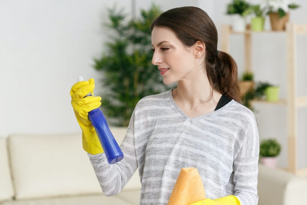 Woman housework cleaning house